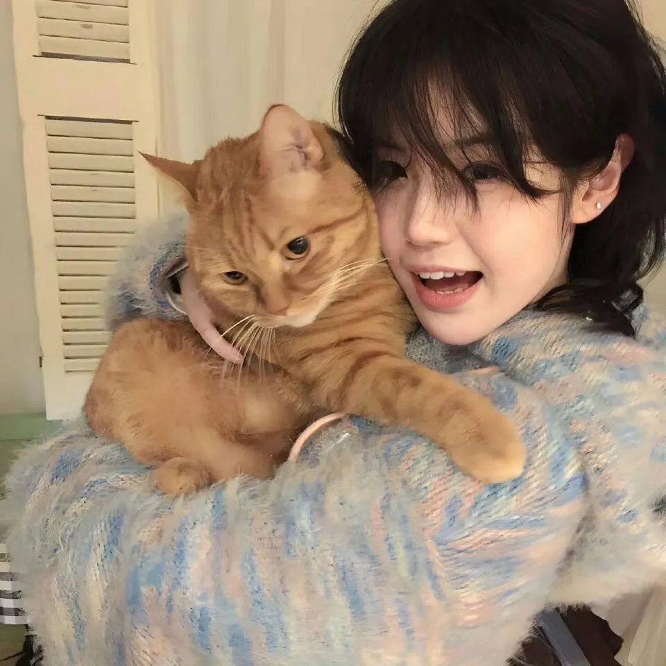 有毛冇翼飞天猪